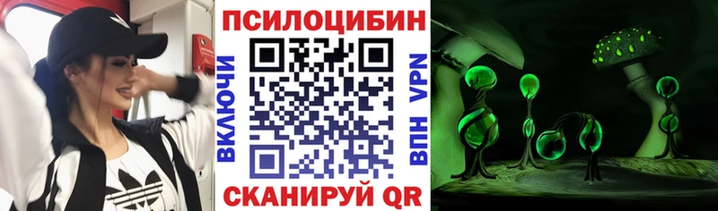 кракен tor  Альметьевск  Псилоцибиновые грибы прущие грибы 